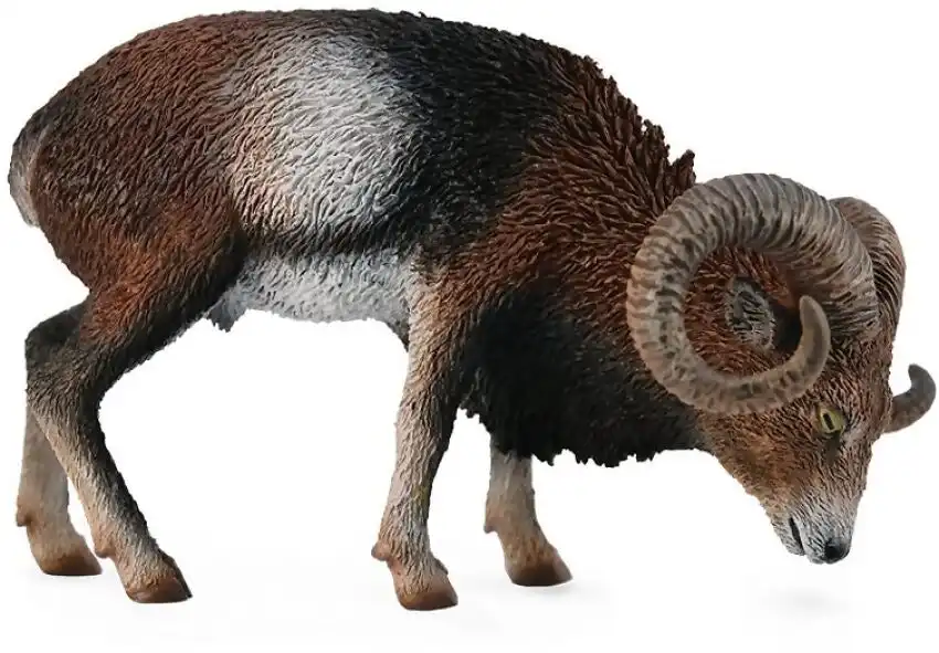 Collecta - European Mouflon Large Wild Animal Figurine