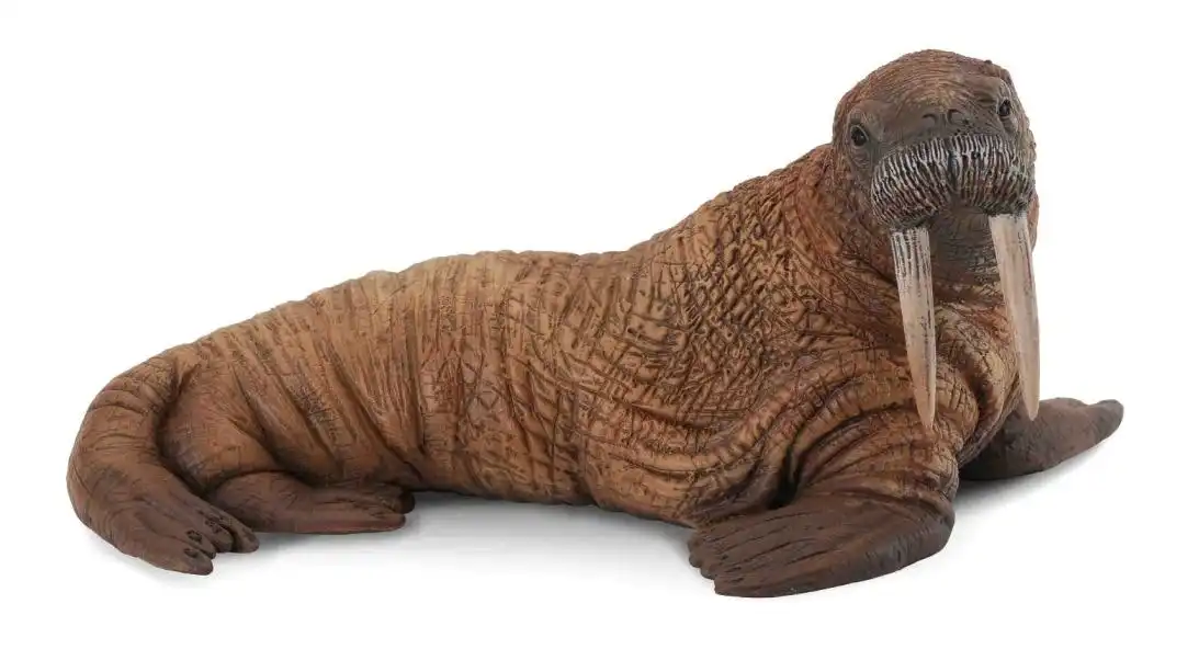 Collecta - Walrus Large Ocean Animal Figurine