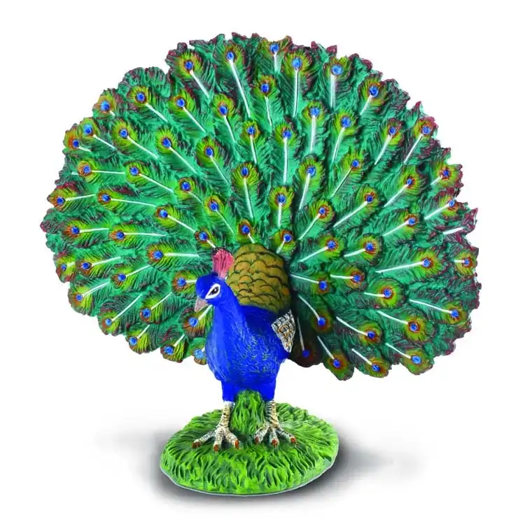 Collecta-  Peacock Bird Animal Figurine