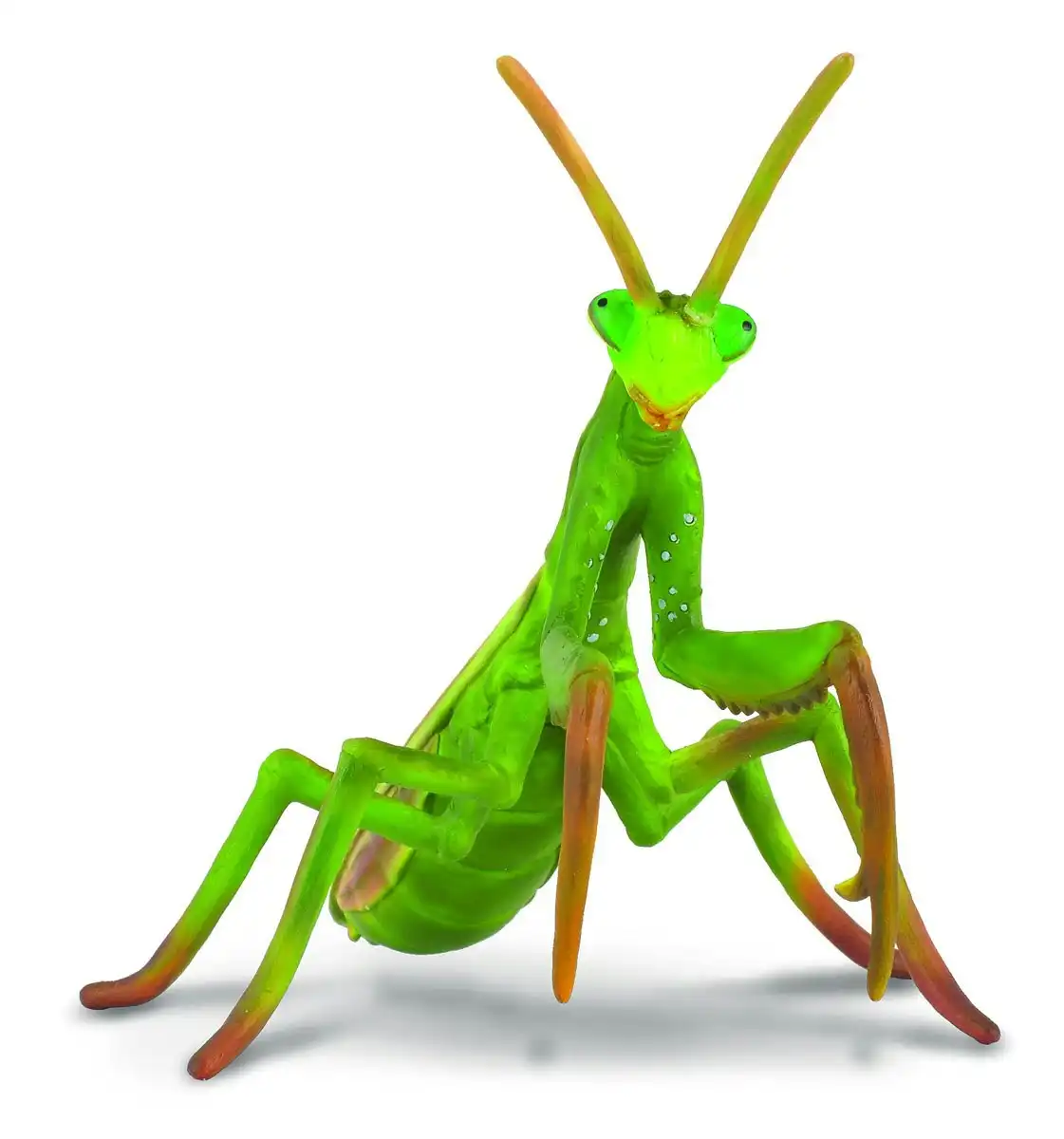 Collecta - Praying Mantis Insect Animal Figurine