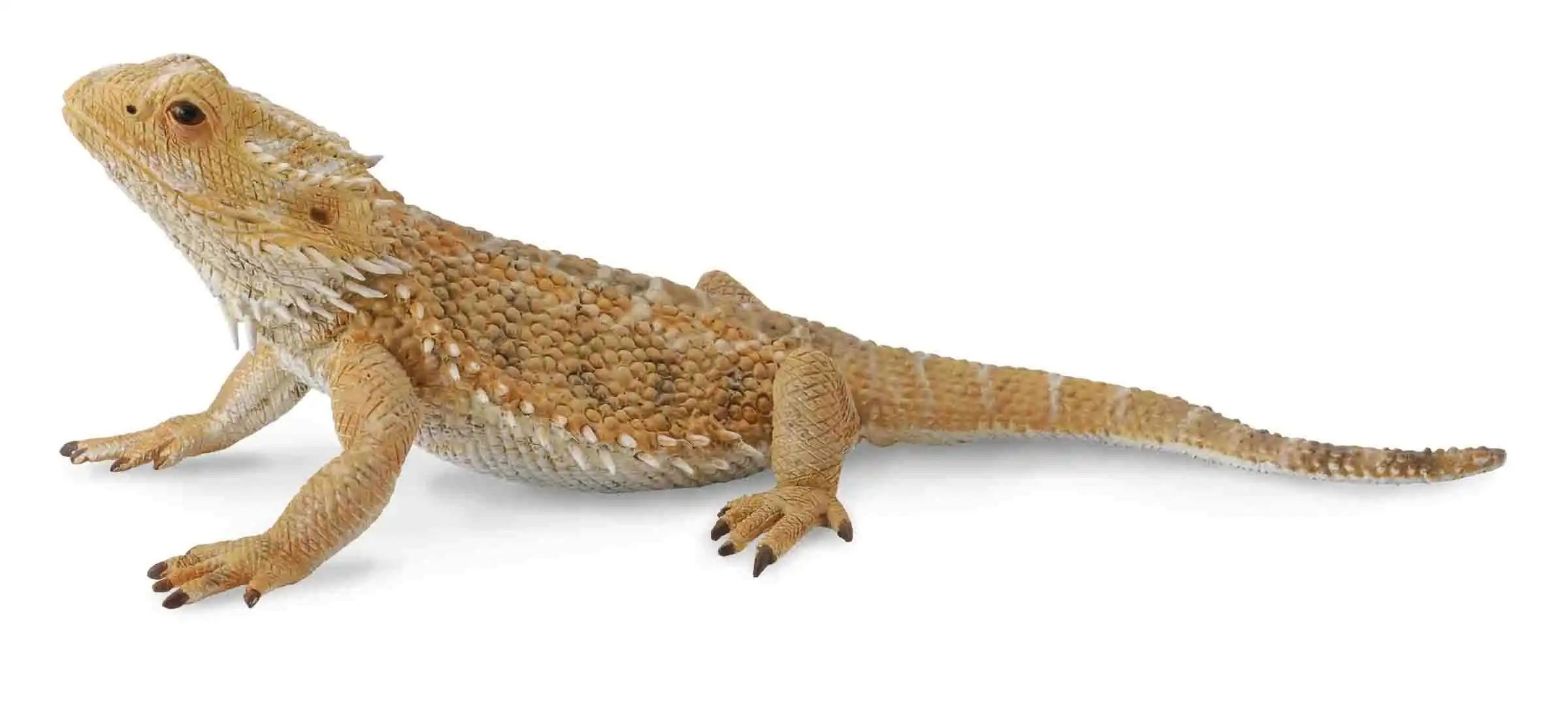 Collecta - Bearded Dragon Lizard Animal Figurine