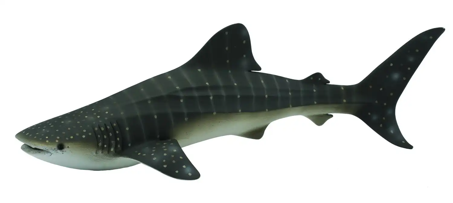Collecta - Whale Shark Extra Large Ocean Animal Figurine