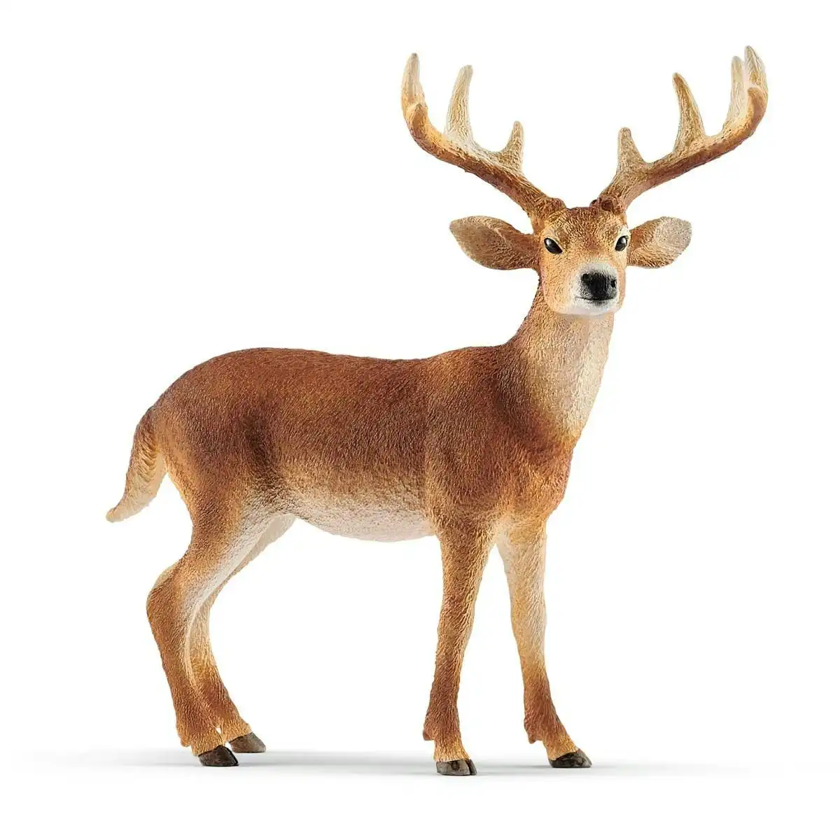 Schleich - White Tailed Buck