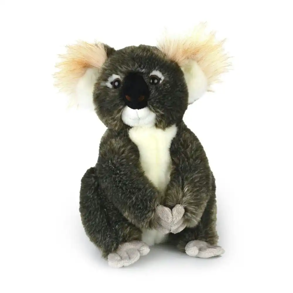 Korimco 30cm Kimba Koala Kids/Children Animal Soft Plush Stuffed Toy Grey 3y+