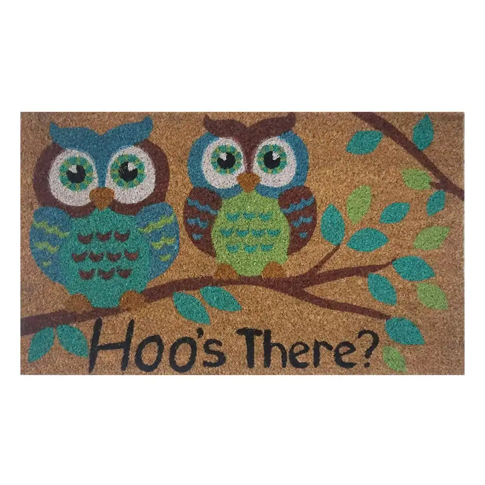 Solemate Latex Backed Coir Hoo''s There 45x75cm Slim Outdoor Stylish Doormat
