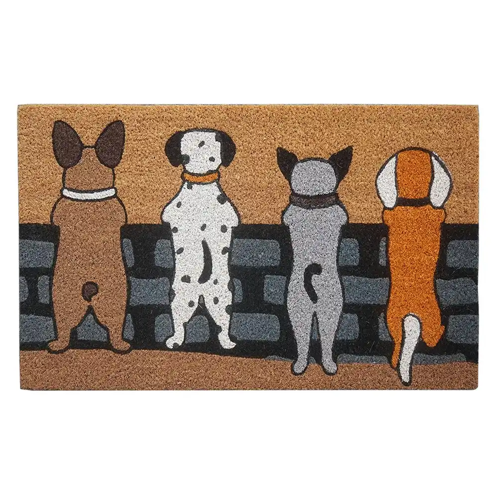 Solemate Latex Backed Coir Dogs on Fence 45x75cm Slimline Outdoor Doormat