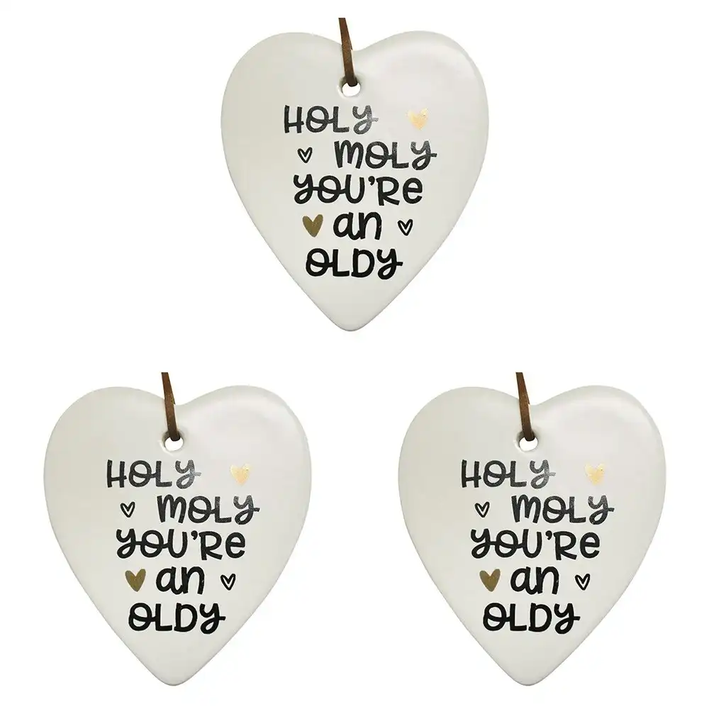 3x Ceramic Hanging 9cm Heart Holy Moly w/Hanger Ornament Home/Office Room Decor