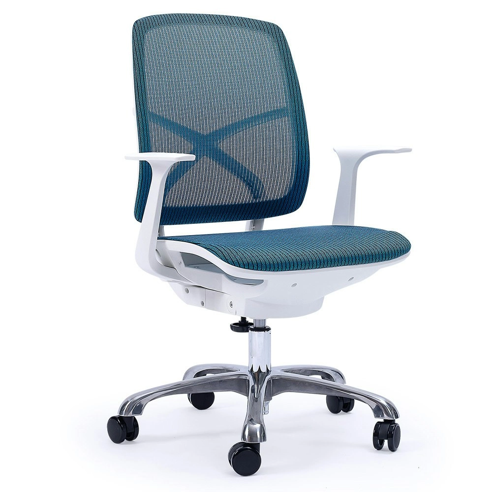 Fortia Ergonomic Office Desk Chair, Coolmesh Fabric, Adjustable Recline, Blue Mesh/White Frame