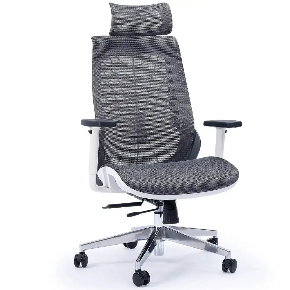 Fortia Ergonomic Office Desk Chair, Coolmesh Fabric, Headrest, Adjustable Lumbar Support, Recline and Armrests, Dark Grey Mesh/White Frame