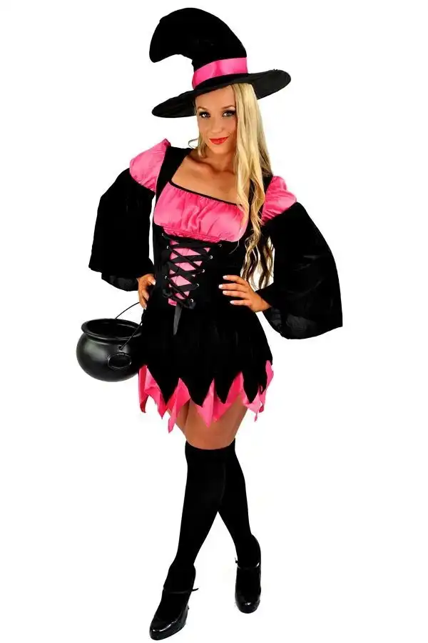 Pink Witch Womens Halloween Costume