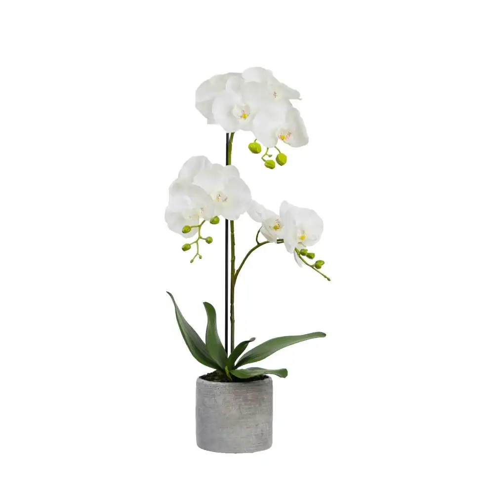 Glamorous Fusion Orchid 65cm White Artificial Faux Plant Decorative Arrangement In Concrete Pot