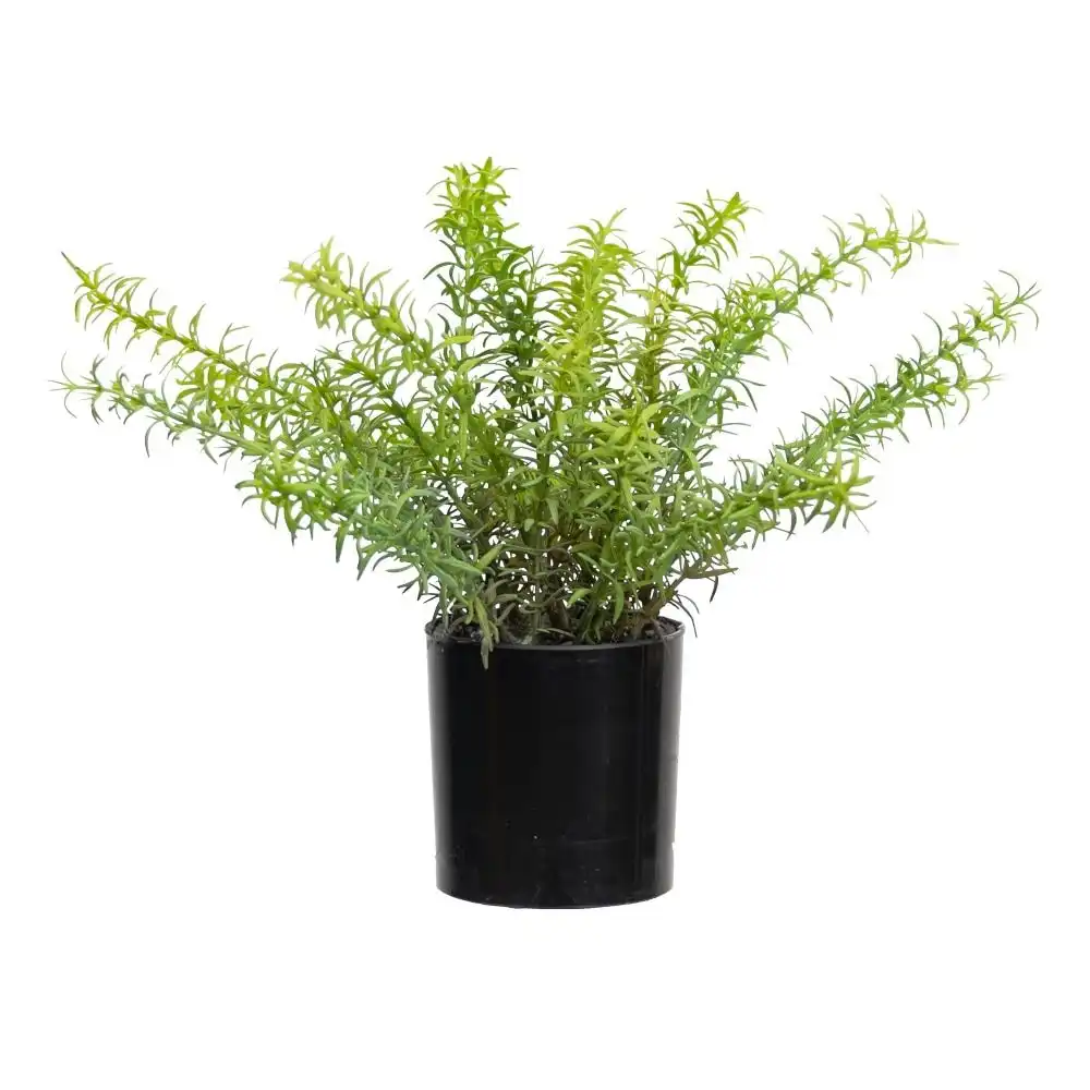 Glamorous Fusion Set Of 2 Rosemary Artificial Faux Plant Decorative In Green