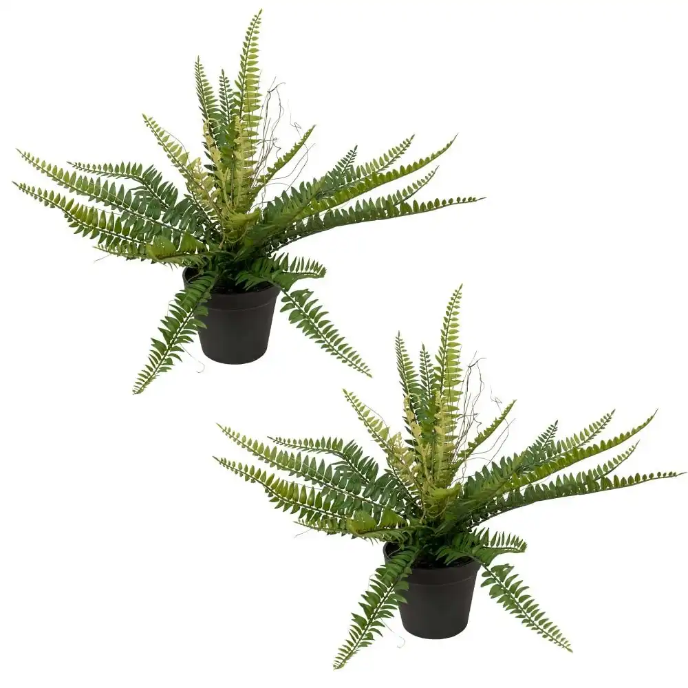 Glamorous Fusion Set Of 2 Potted Ruffle Fern Artificial Faux Plant Decorative Green