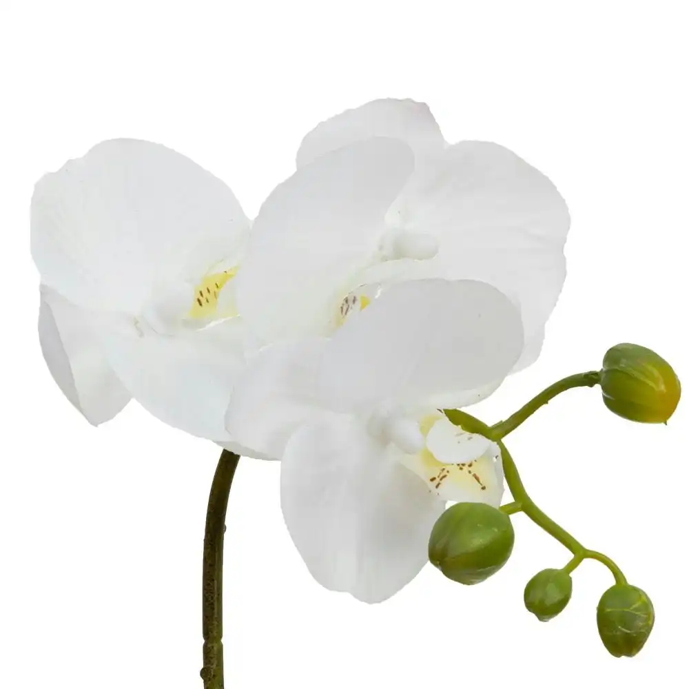 Glamorous Fusion Orchid 32cm White Artificial Faux Plant Decorative Arrangement In Square Glass