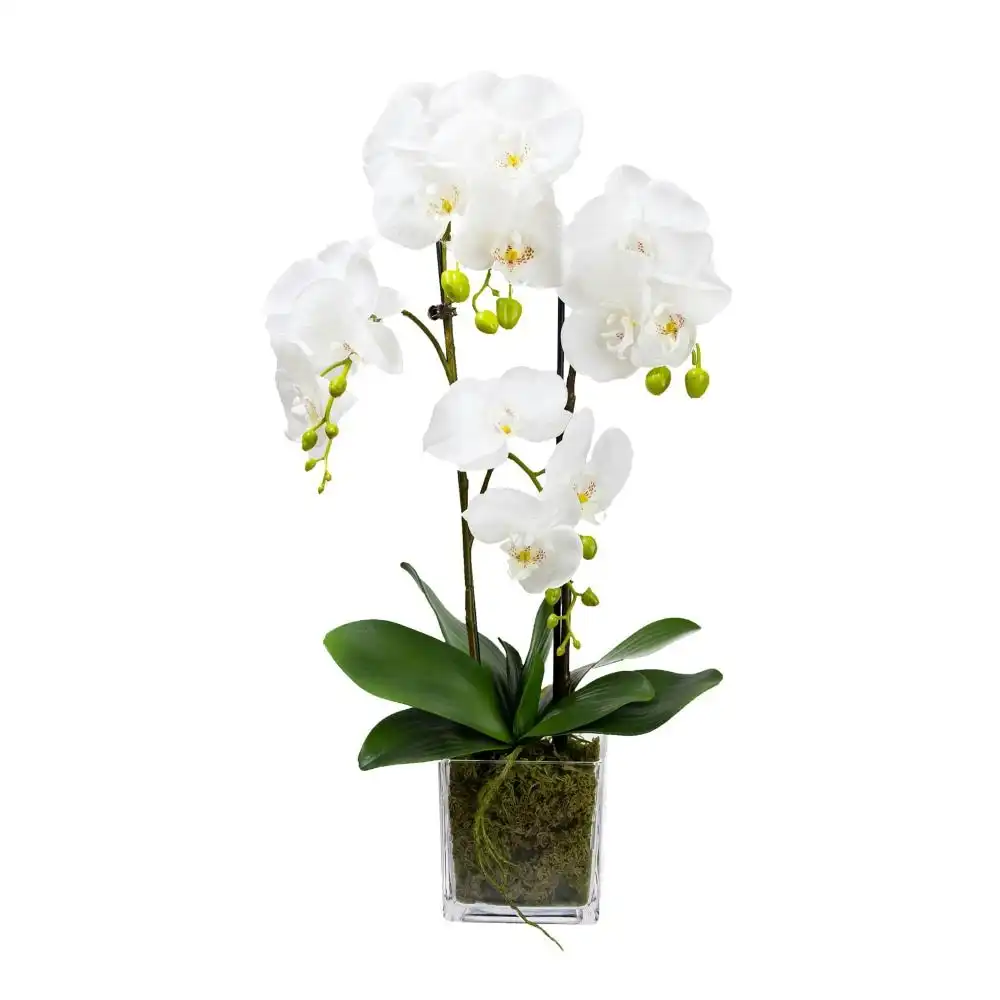 Glamorous Fusion Orchid 60cm Artificial Faux Plant Decorative Arrangement In Square Glass