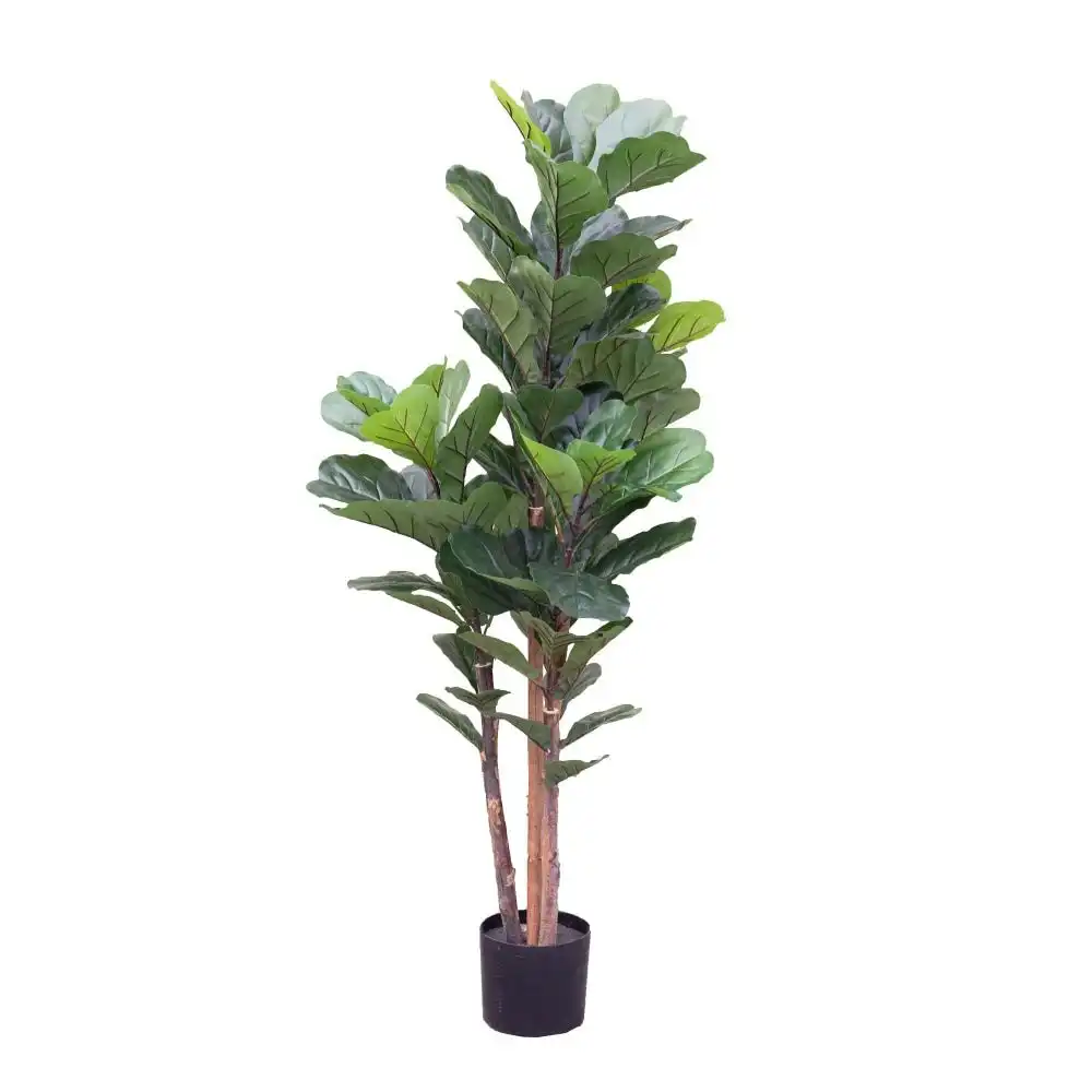 Glamorous Fusion Fiddle Plant 150cm Artificial Faux Plant Tree Decorative Green