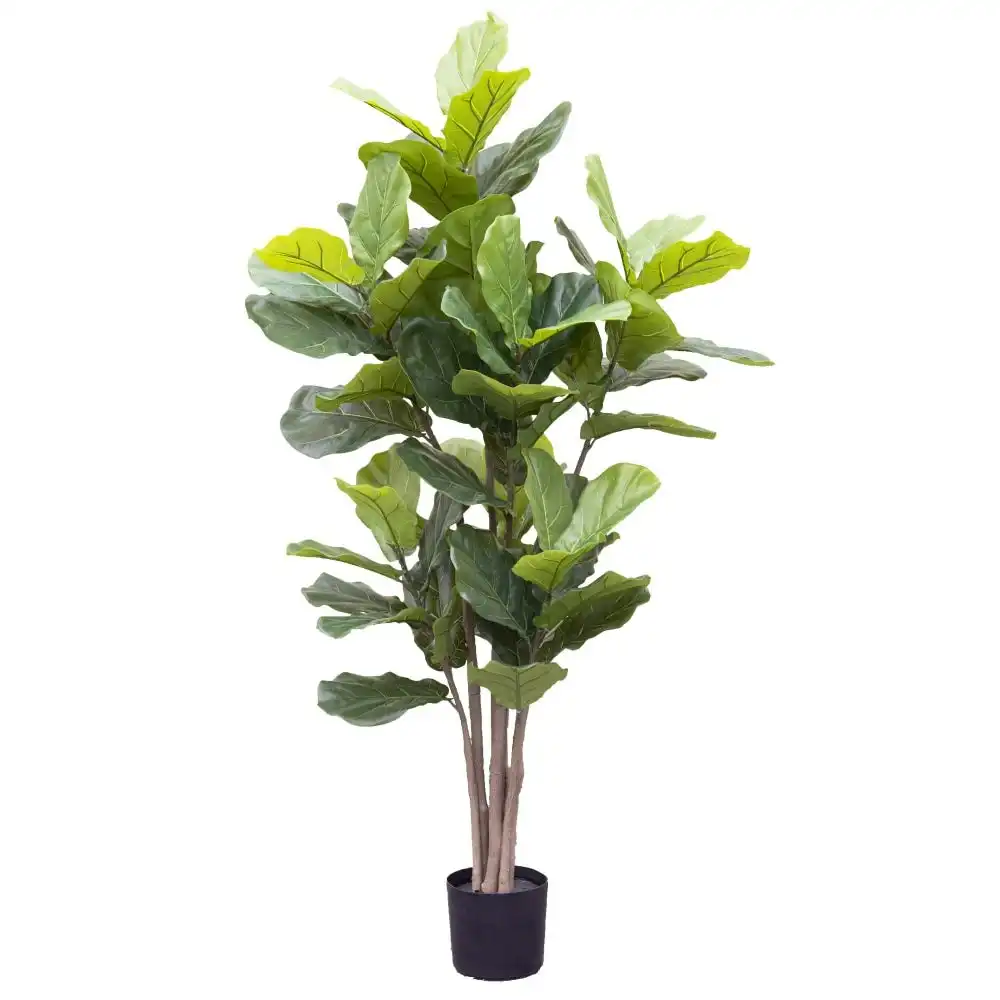 Glamorous Fusion Giant Fiddle Leaf 182cm Artificial Faux Plant Tree Decorative Green