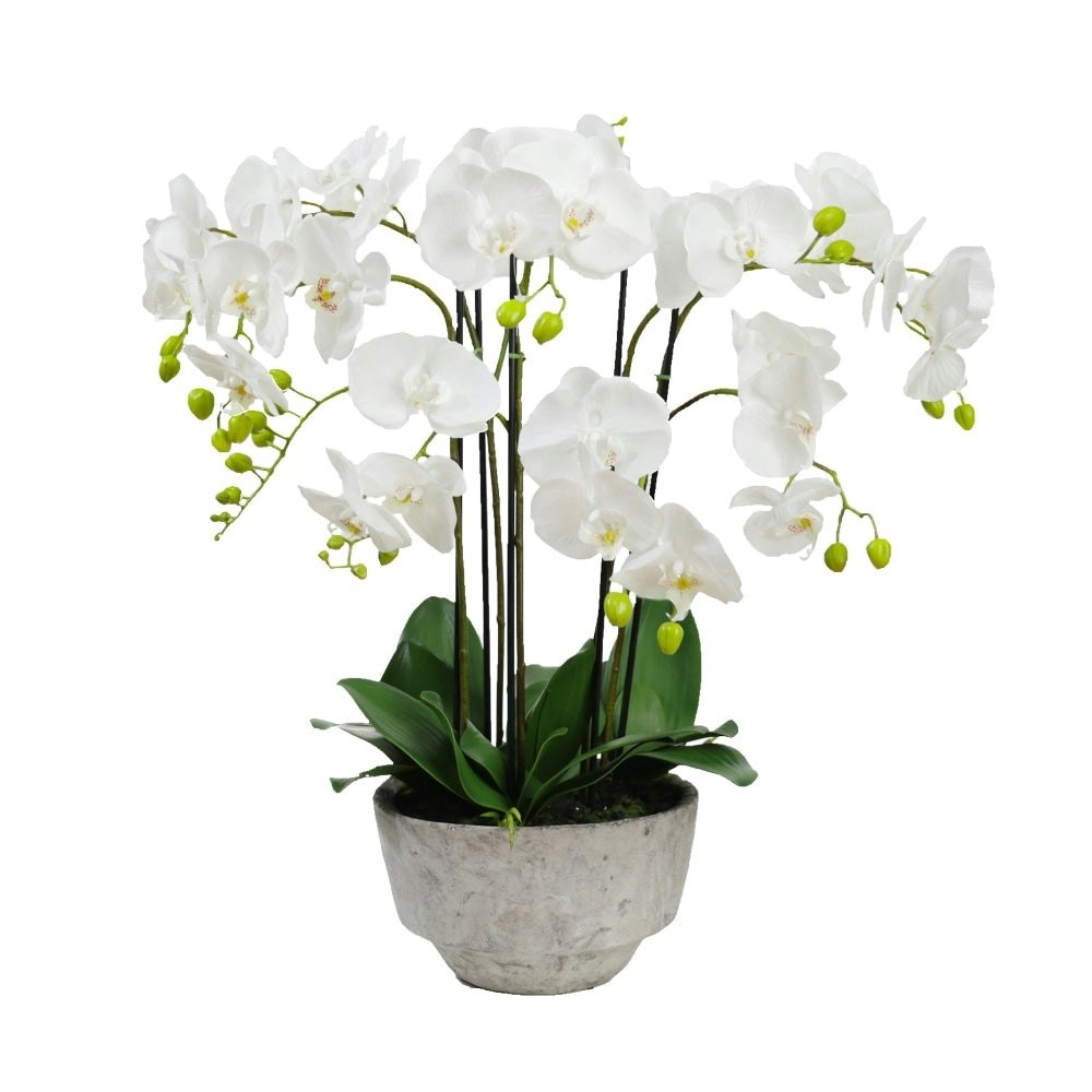 Glamorous Fusion Orchid 78cm White Artificial Faux Plant Decorative Arrangement In Concrete Pot