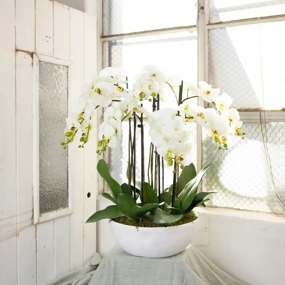 Glamorous Fusion Apple Green Phal Orchid White Artificial Faux Plant Decorative Arrangement In Pot