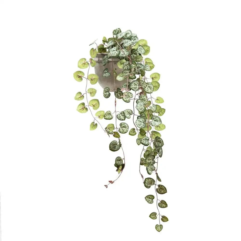 Glamorous Fusion Ceropegia 47cm Artificial Faux Plant Decorative Hanging In Pot Green