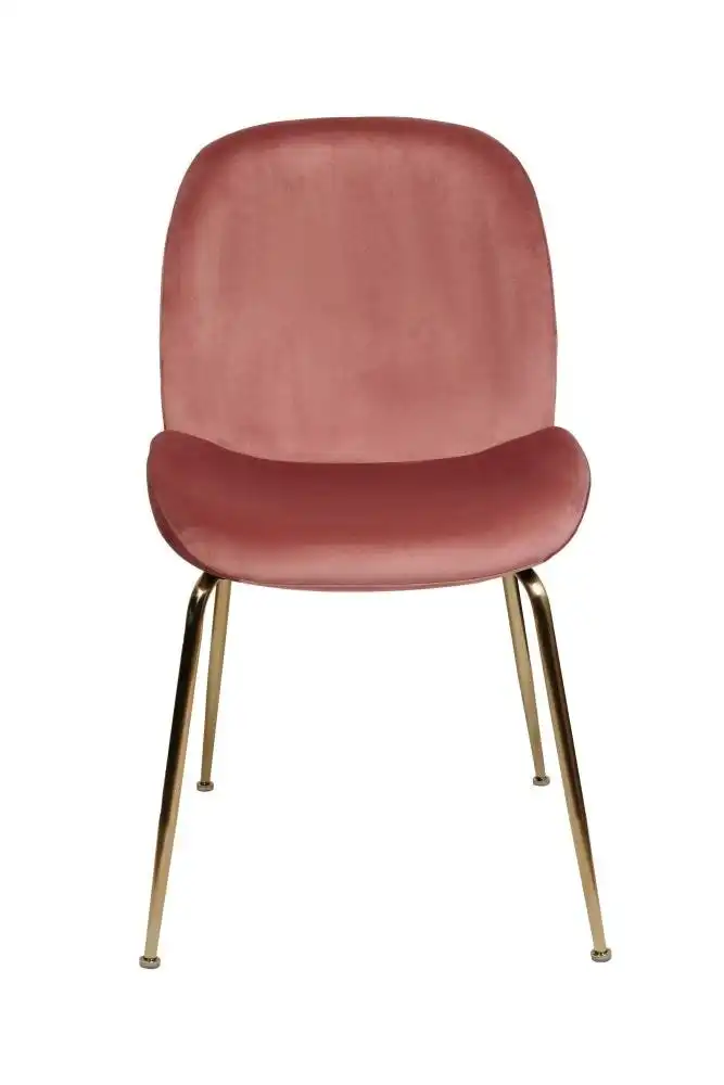 Raimon Furniture Set of 2 Casa Velvet Fabric Dining Chair - Gold Legs - Blush