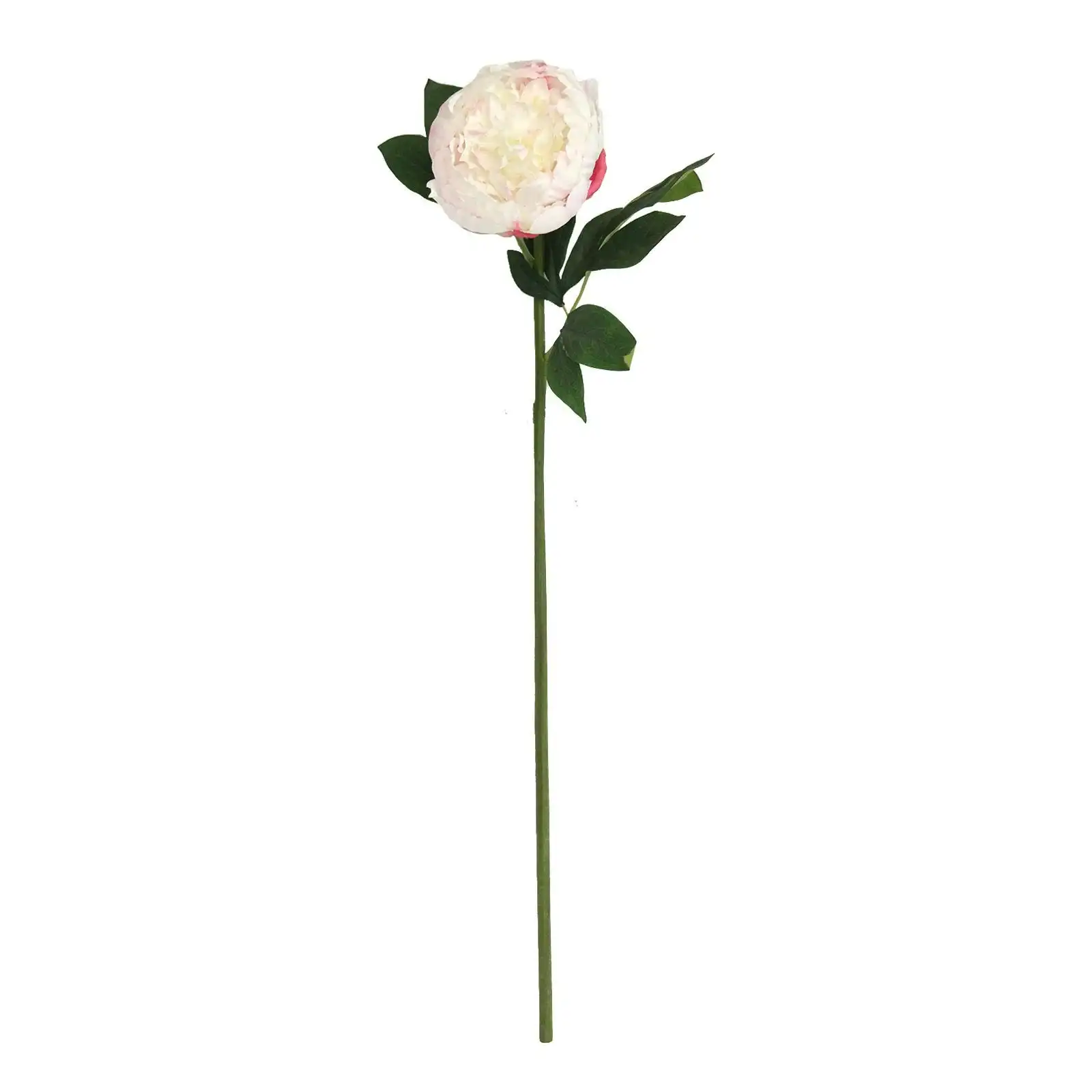 Artificial White Peony Flower Stem 75cm