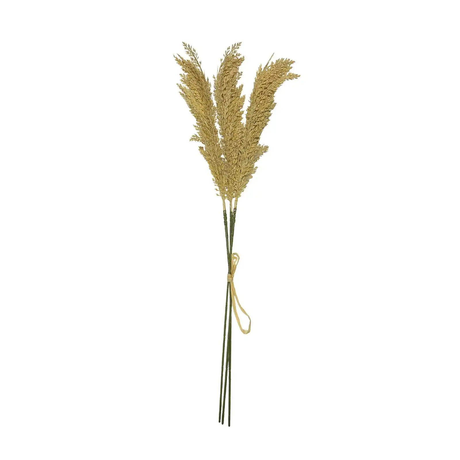 Artificial Flowers - Sorghum Dried 65cm