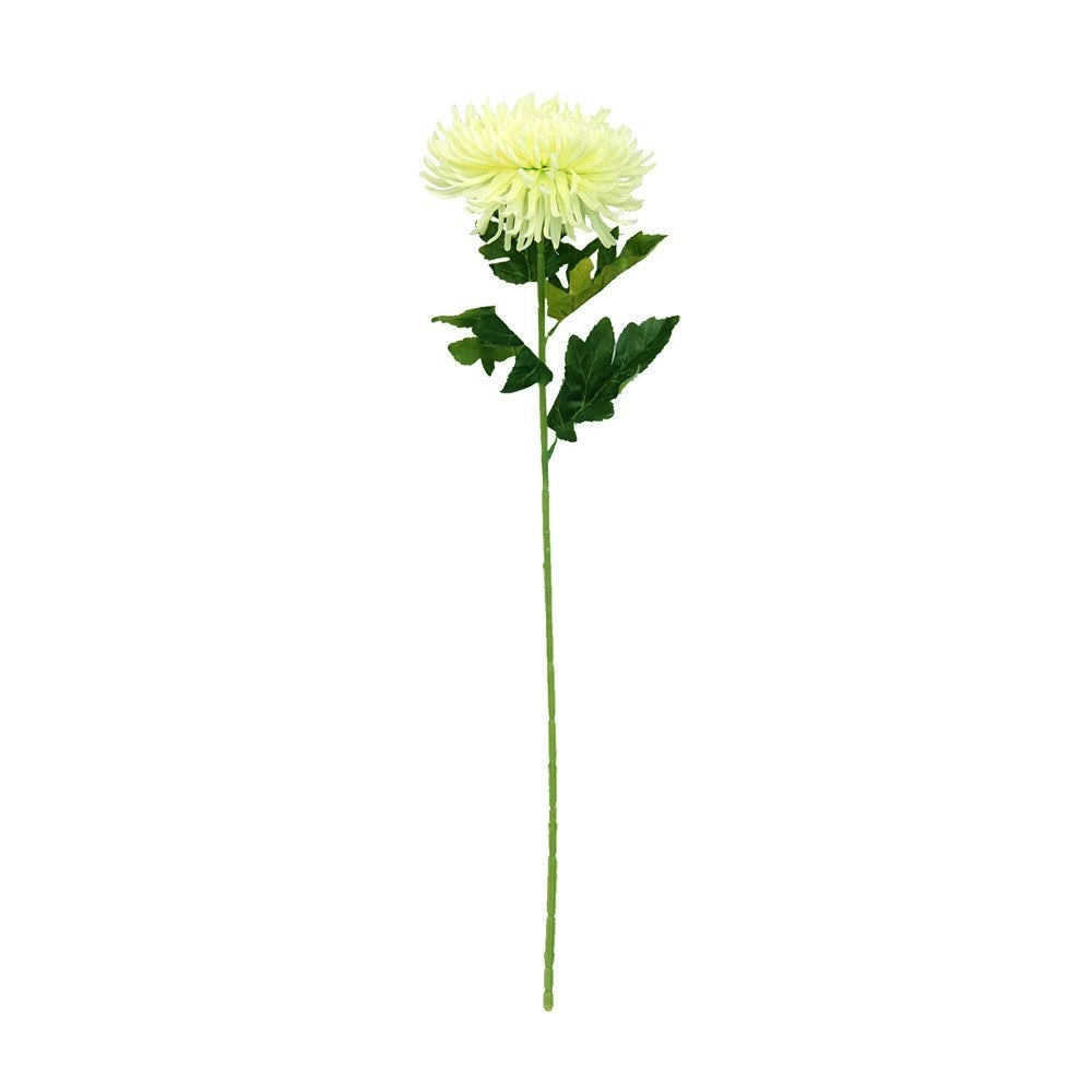 70cm Artificial Spider Mum Stem - GREEN