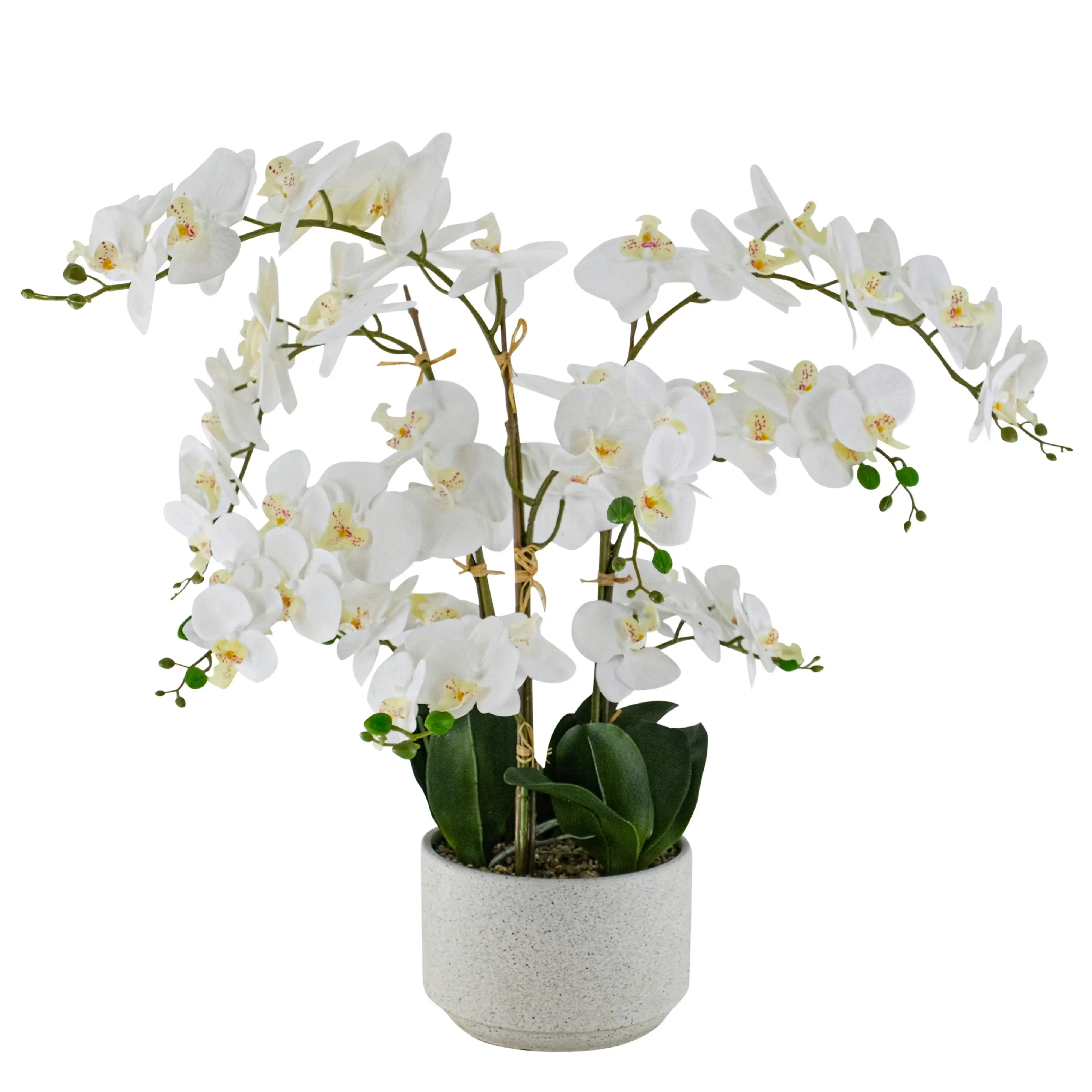 Artificial White Orchid Flowers Plant 85cm