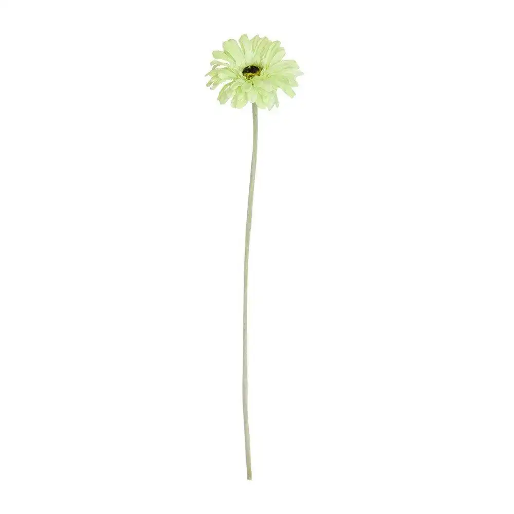 Artificial Green Gerbera Flower Stem 50cm