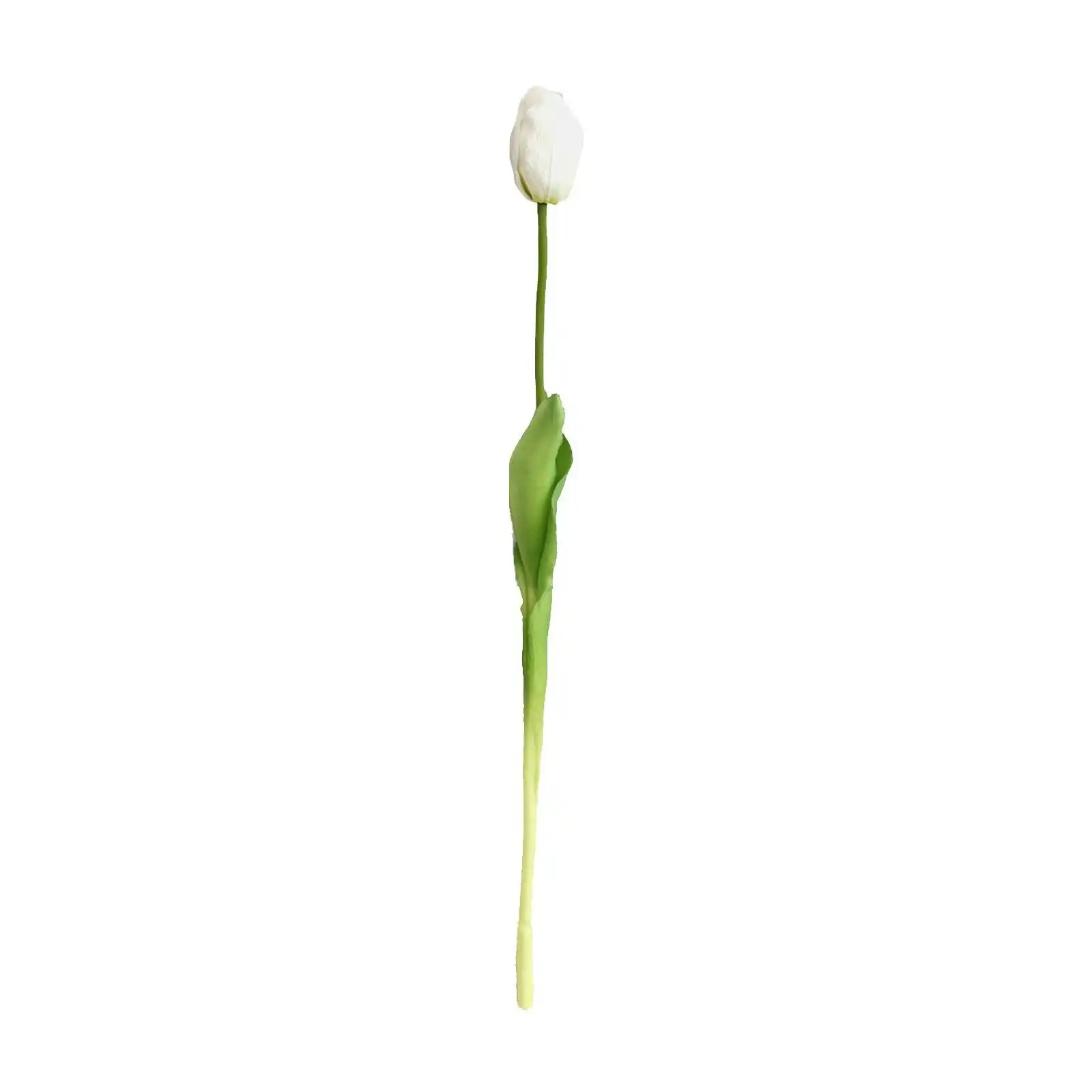 Artificial Tulip Stem - WHITE 50cm