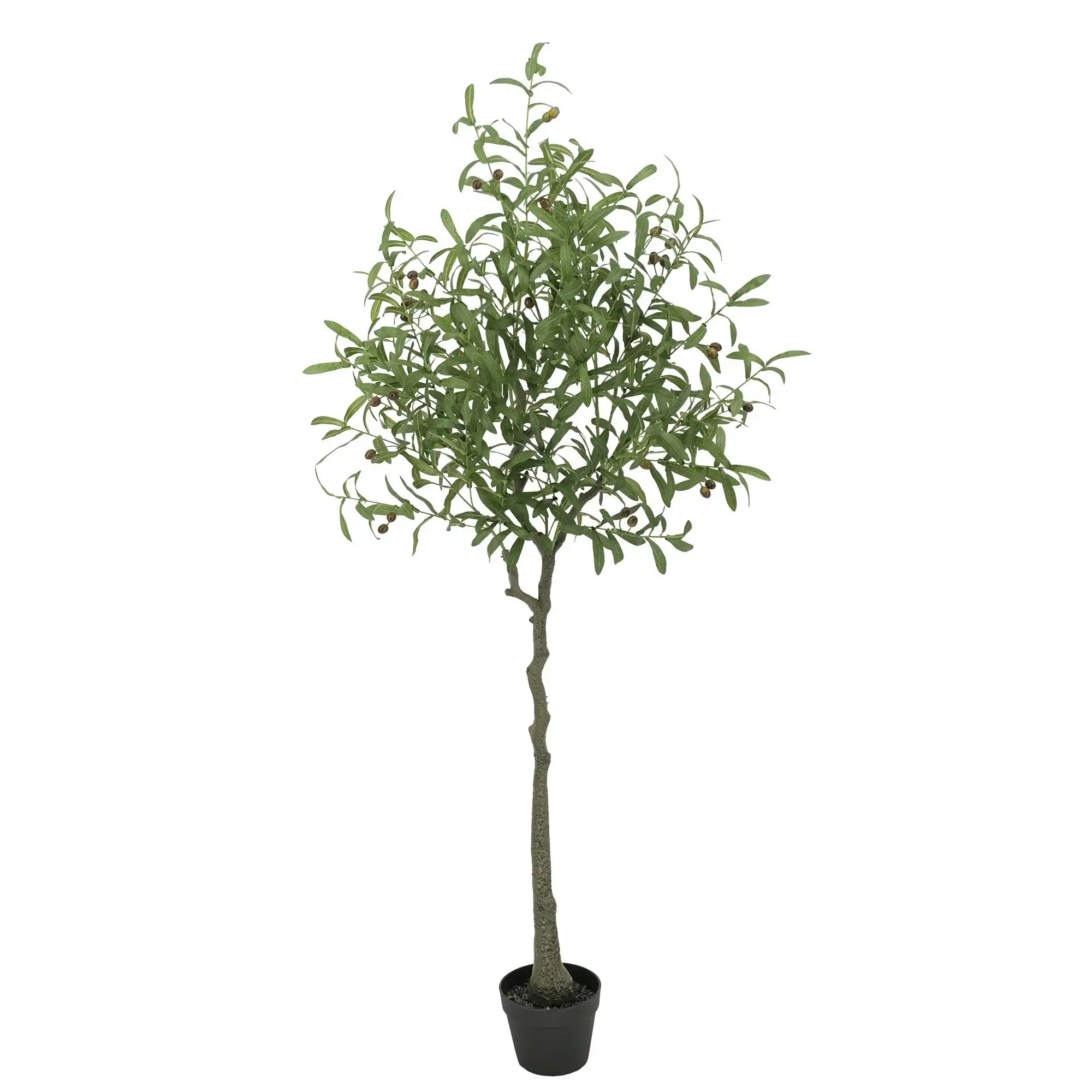 Artificial Olive Tree - 170cm