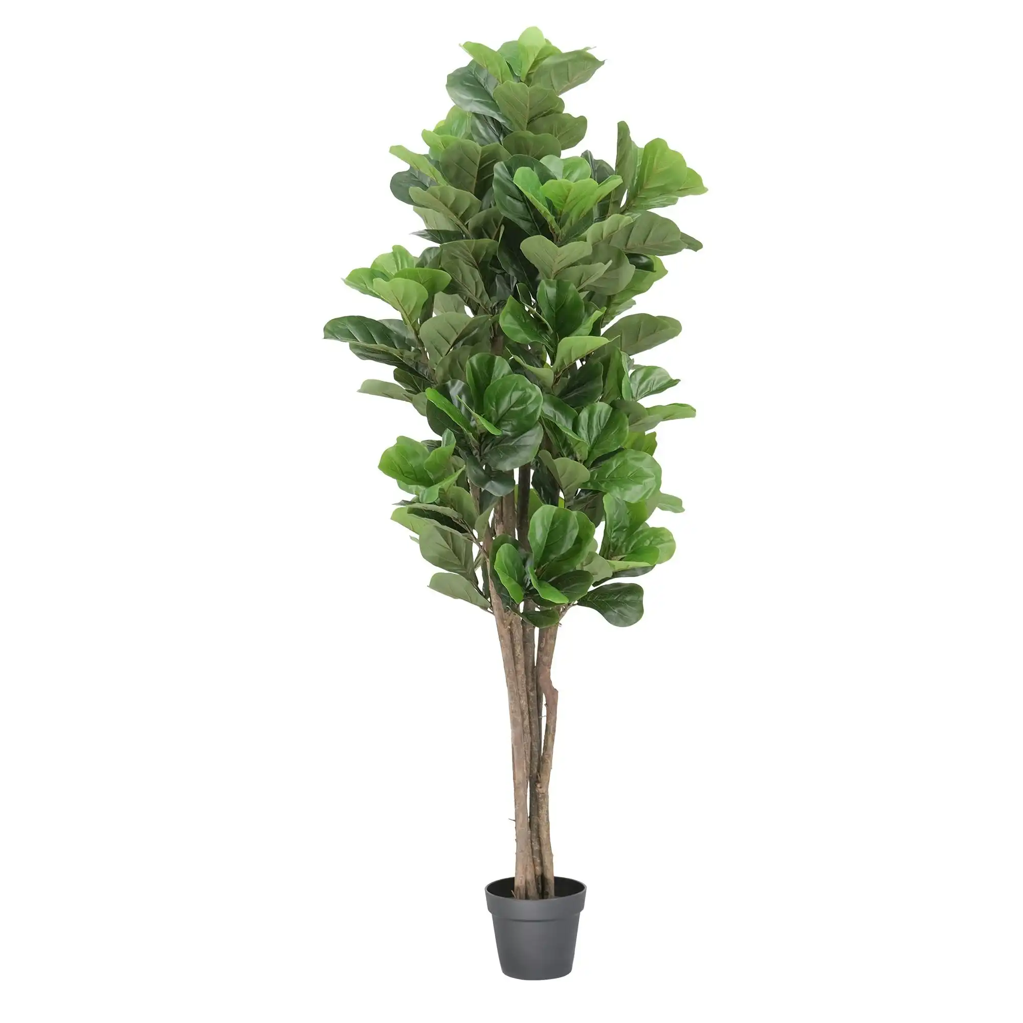 Artificial Fiddle Leaf Fig Tree - 180cm