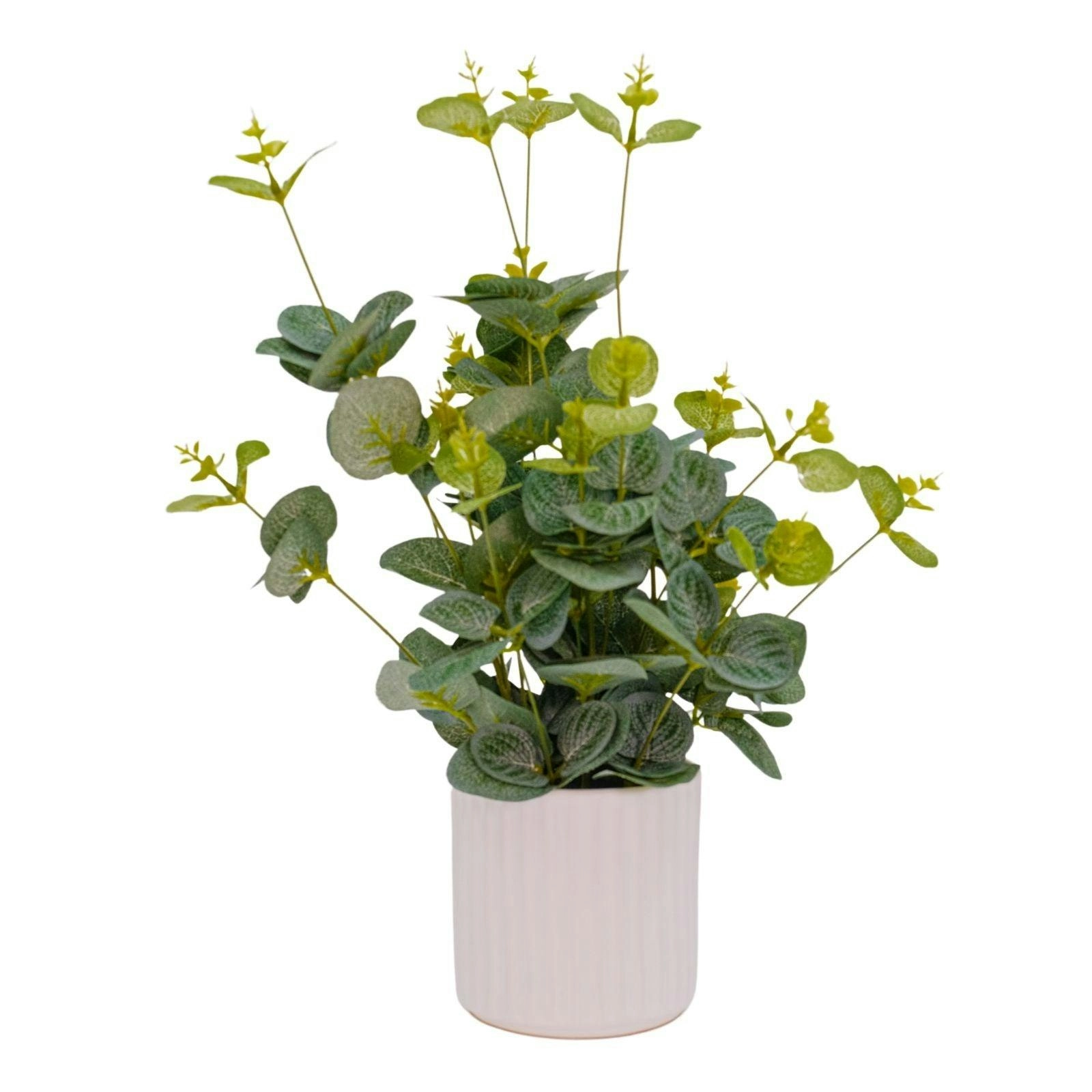 Artificial Eucalyptus Plant in Ceramic Pot 40cm