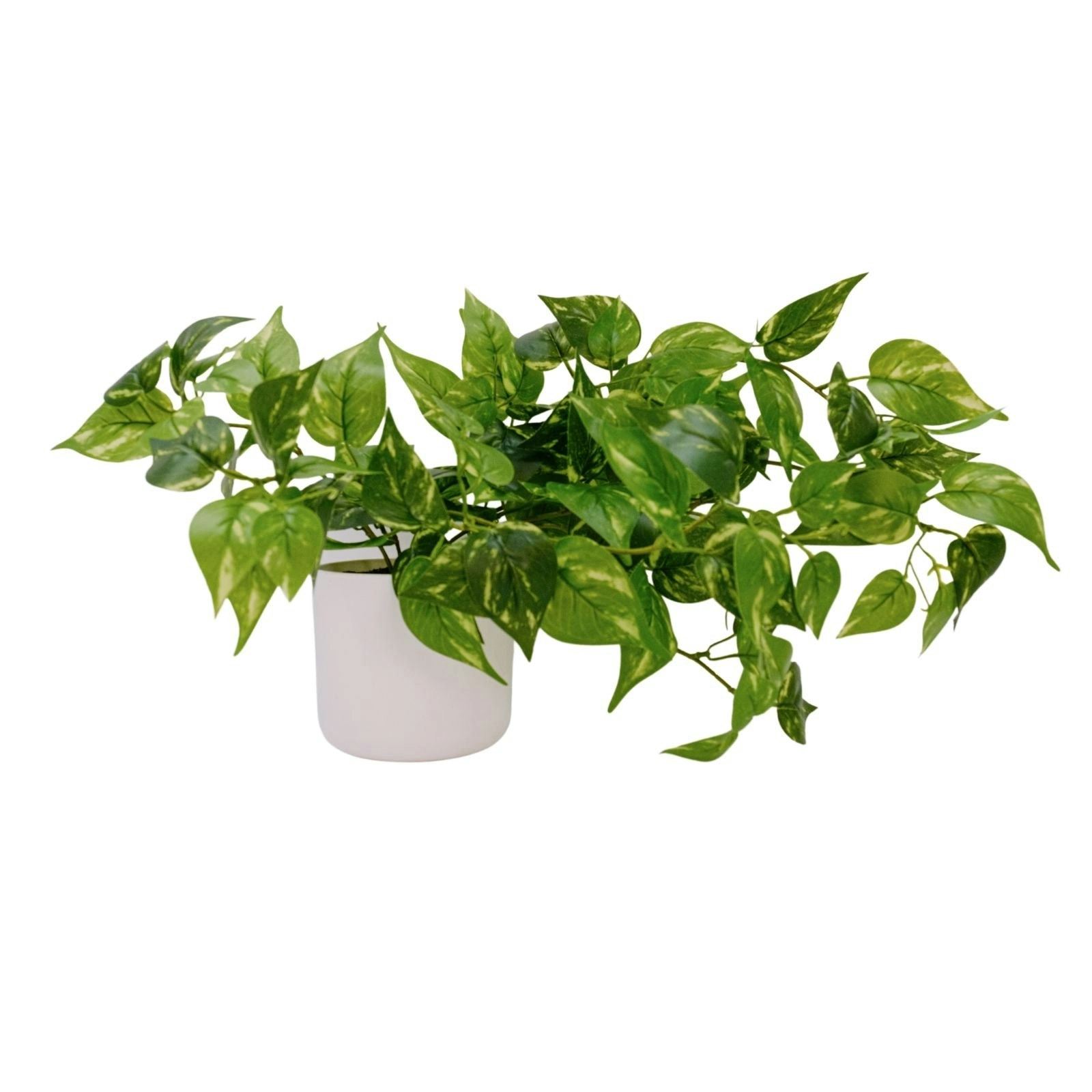 Artificial Devil's Ivy Plant 35cm