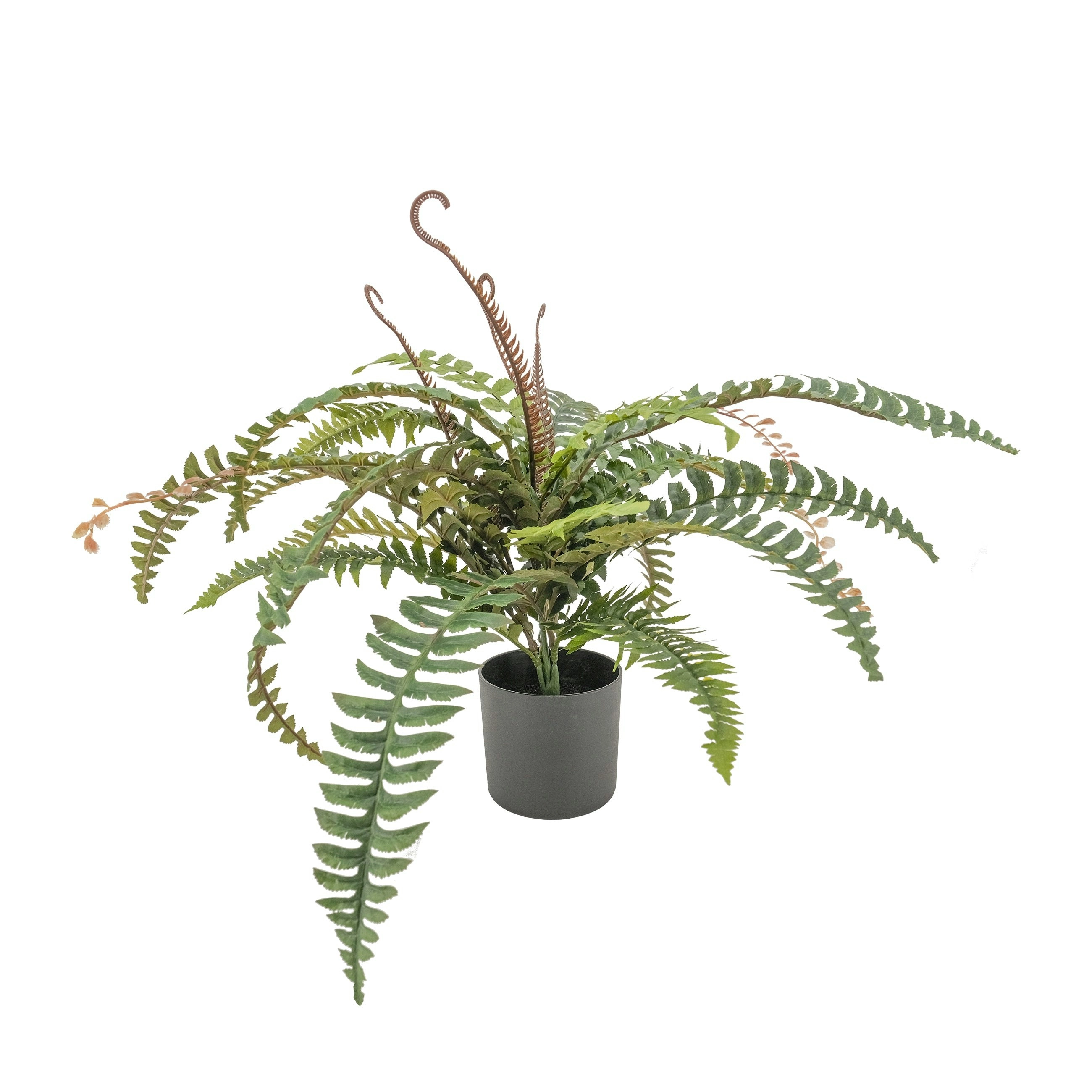 Artificial Boston Fern Plant 60cm