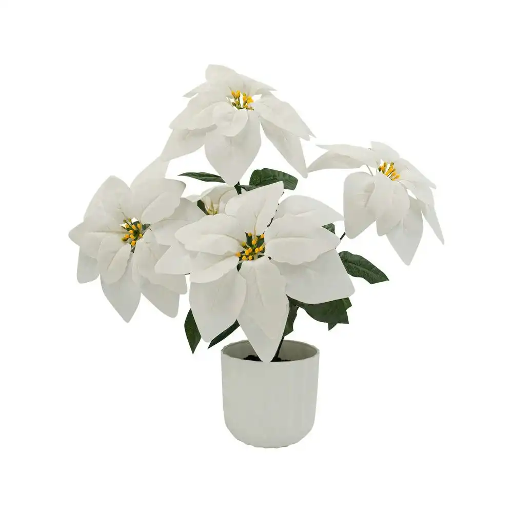 Artificial Poinsettia in Ribbed Pot - White 45cm