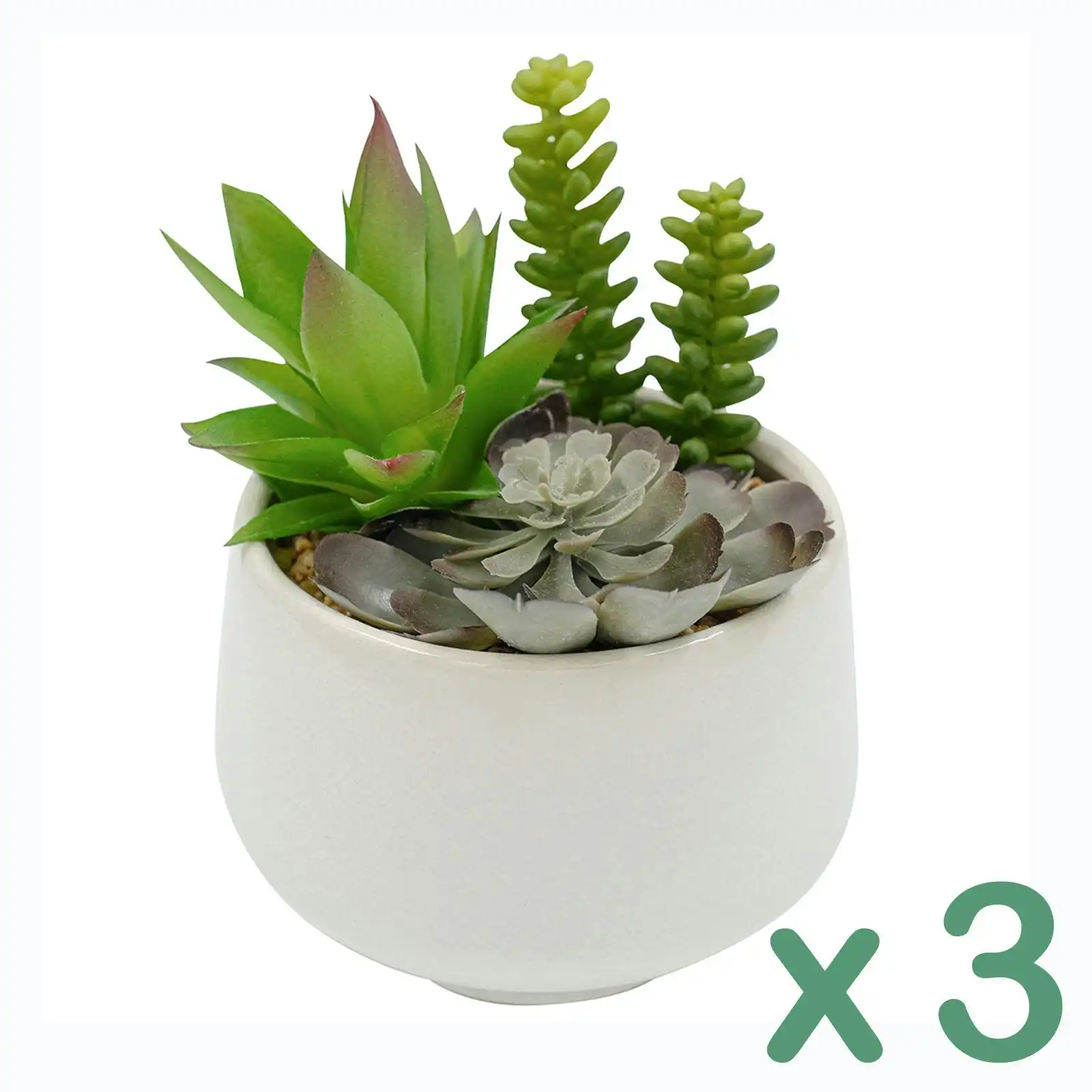 3 pots of Artificial Succulents - Trio in White Pot 19cm
