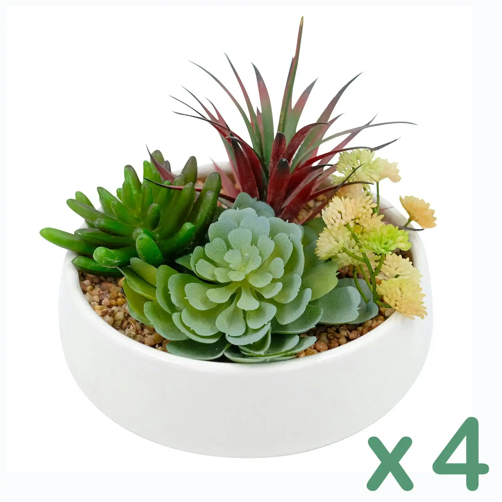 4 pots of Artificial Succulents - Quad in White Pot 16cm