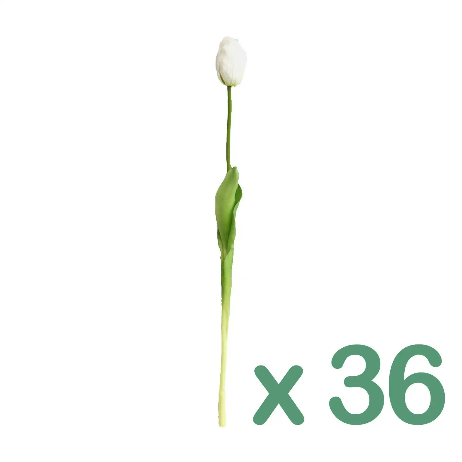 Carton of 36 - Artificial Stems - Tulip - WHITE 50cm