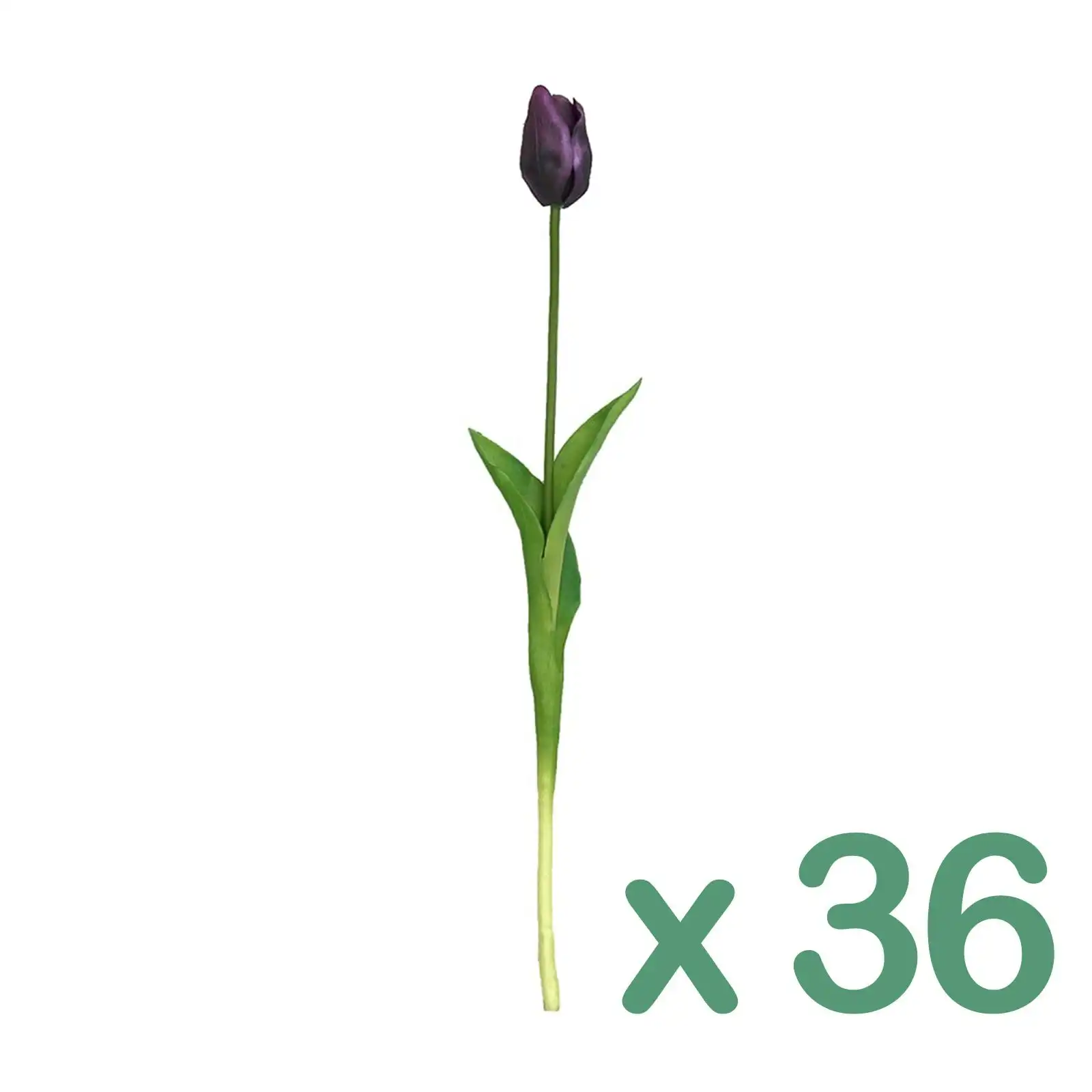 Carton of 36 - Artificial Stems - Tulip - PURPLE 50cm