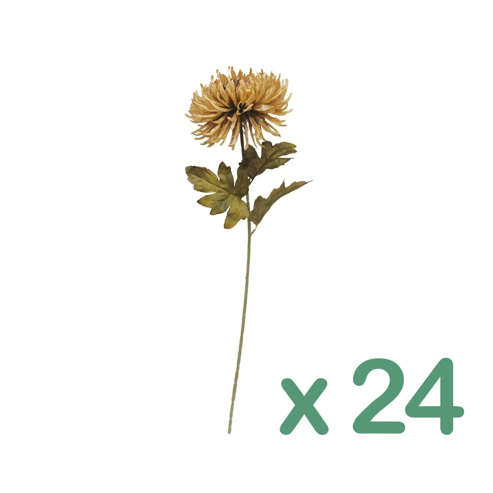 Carton of 24 - Artificial Flowers - Gold Chrysanthemum - Dried 75cm