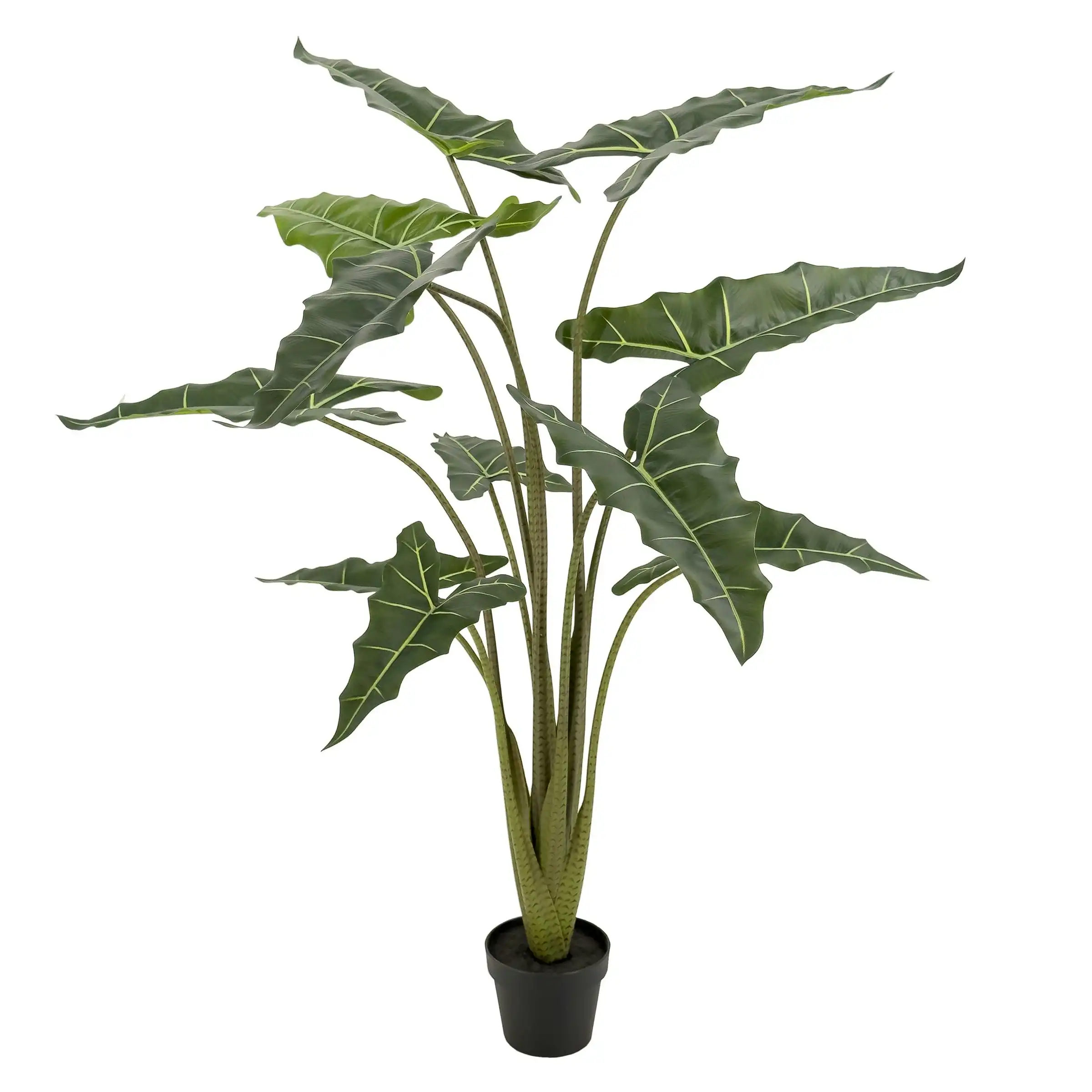 Large Artificial Plants - Alocasia (Elephant Ears) 140cm