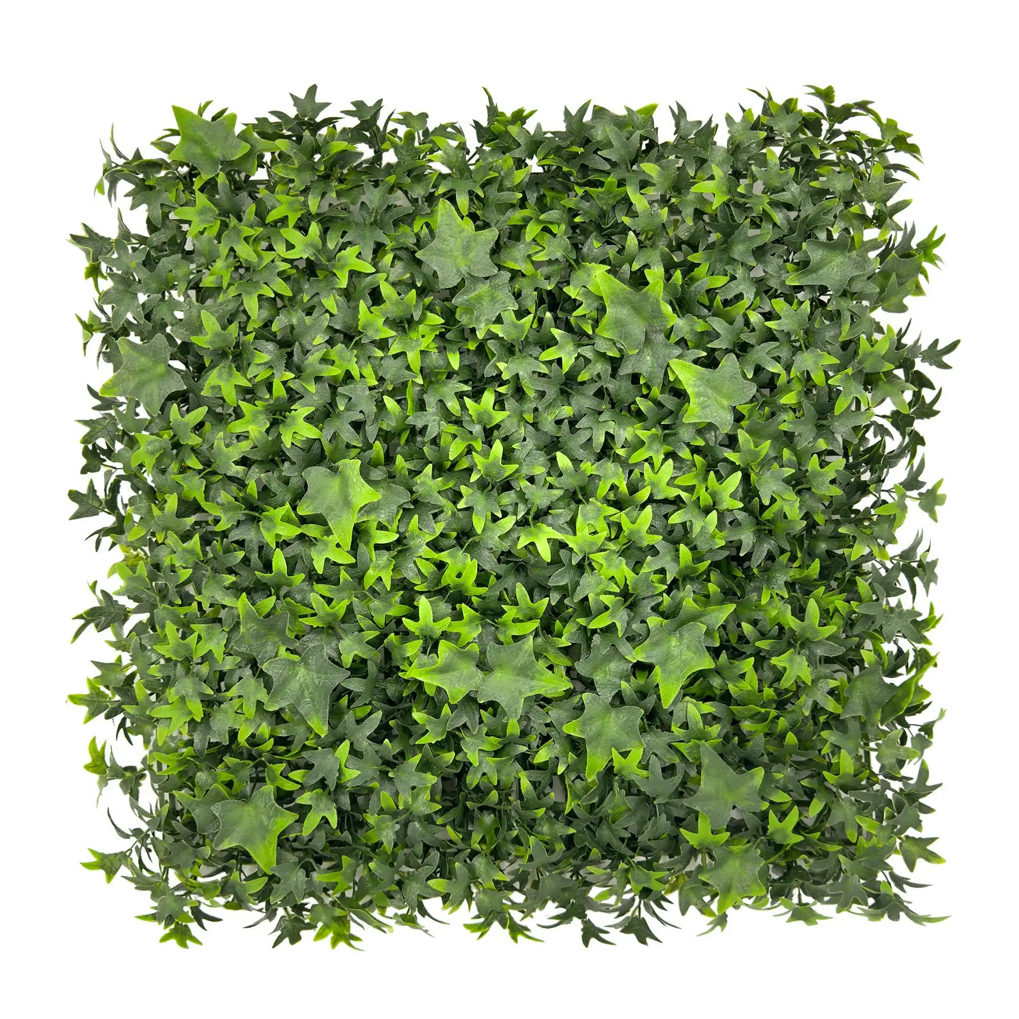 Artificial Hedge - English Ivy - 50cm x 50cm