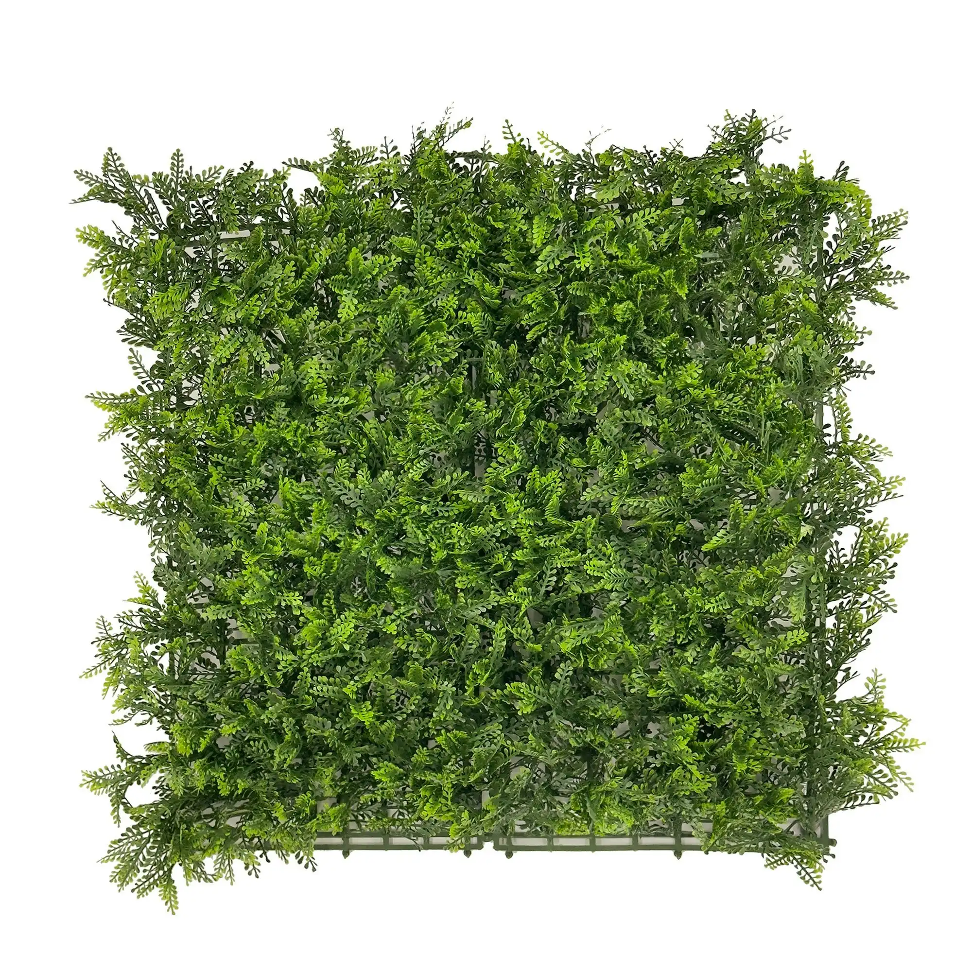 Artificial Hedge - Mimosa Fern - 50cm x 50cm