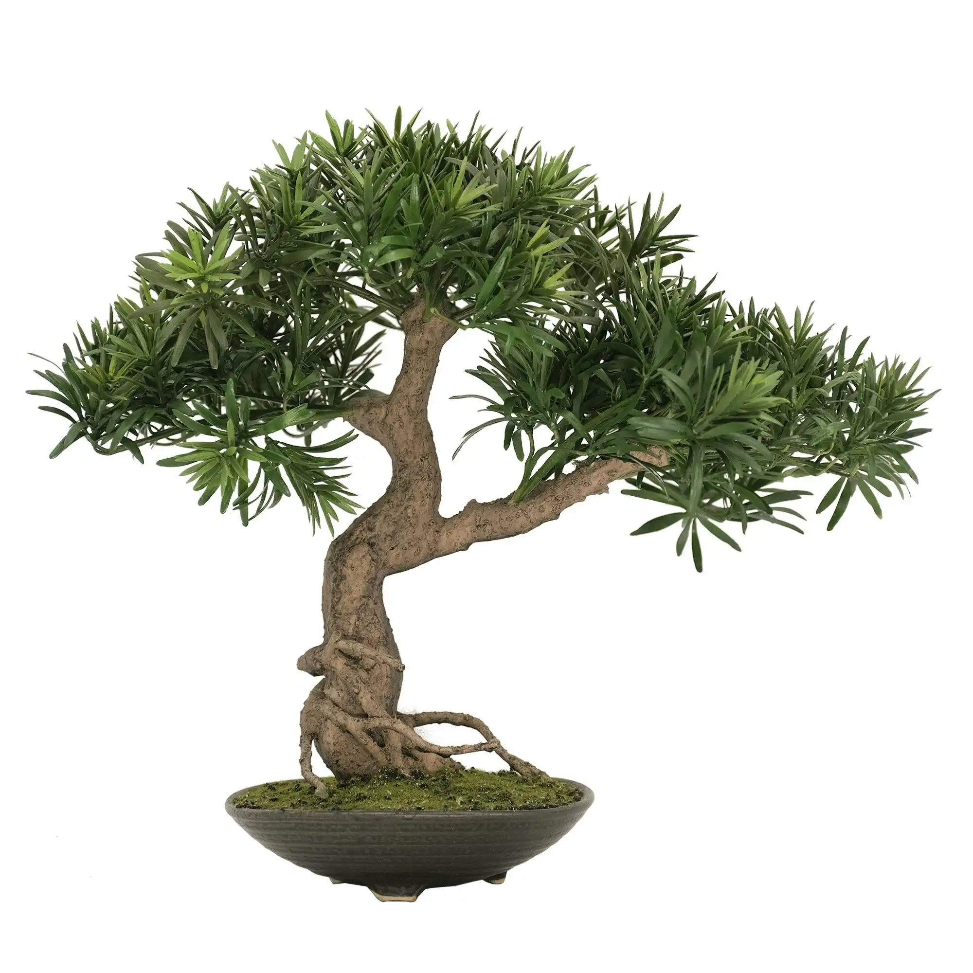 Artificial Plant Buddhist Pine Bonsai - Informal Upright (Moyogi) 45cm