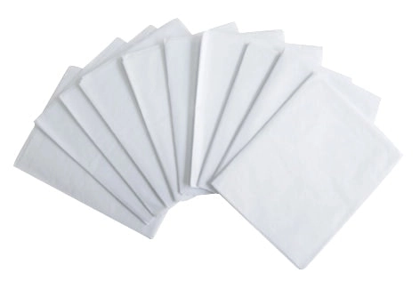 Disposable Toilet Seat Cover 10 Pack