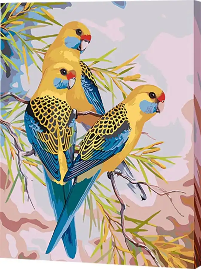 Yellow Rosellas Paint-By-Numbers 50 x 40 cm