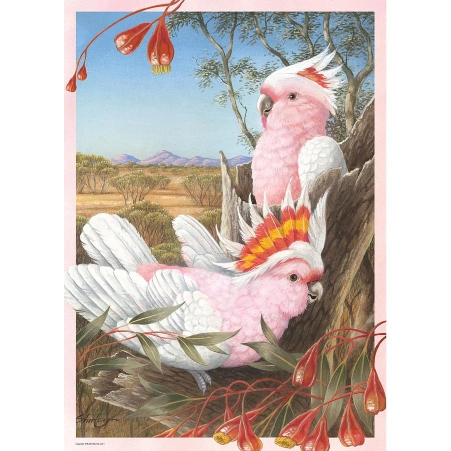 Major Mitchell Cockatoos 1000 pieces- Jigsaws