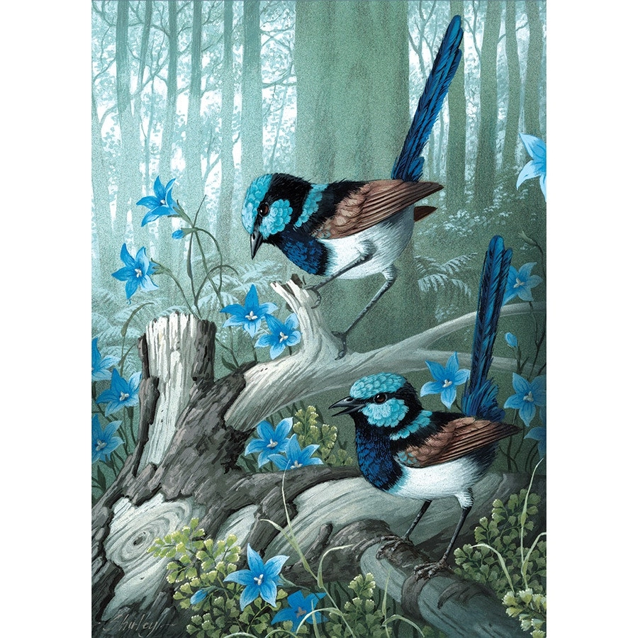 Superb Fairy Wrens1000 pieces- Jigsaws